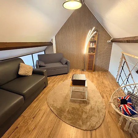 Reve Divin T4 Avec Parking-barbecue-laverie-bagagerie-salle De Sport-aire De Jeux-climatisé * Lourdes